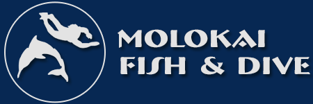 Molokai Fish and Dive – Molokai Activities,  Fishing, Scuba Diving, Whale Watching and Snorkel Adventures Logo